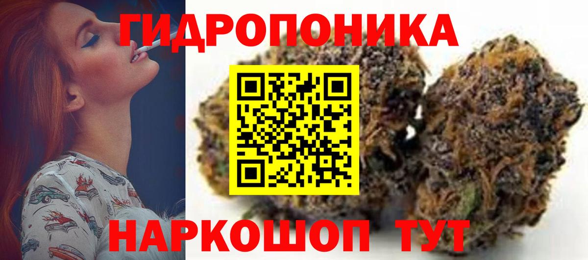 Конопля Bruce Banner  Конопля гибрид  Муравленко  Бошки Шишки Ganja  Вход с VPN 